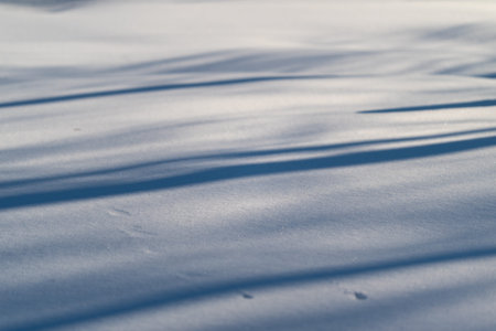 Chilly snow with gentle shadows. Serene winter scene with shimmering ice and soft shadows. Peaceful...