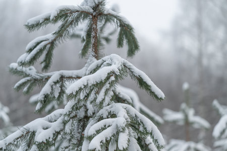 Silent winter strength, Cold season emblem representing unwavering quiet perseverance, Frozen...