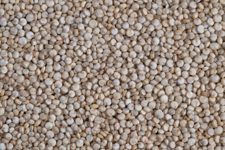 Neutral palette emphasizing sustainability themes, Detailed quinoa seed image suitable for showcasing product packaging and environmentally friendly labelsの写真素材