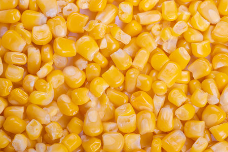 Tightly packed sweet corn kernels forming repeating pattern, macro texture for background or...