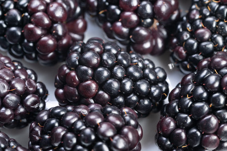 Juicy blackberries provide antioxidants and dietary benefits daily, Vibrant blackberries enrich...