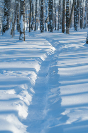 Chilly blue glow highlights fresh footprints across snowcovered landscape, Recent winter hike...