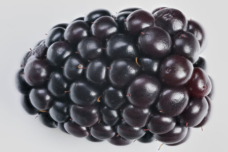 Blackberry with shine, Bright studio shot of glossy ripe blackberry on white background, Closeup...