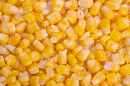 Chef style corn kernel selection, Culinary technique involving crisp corn kernels, Professional...
