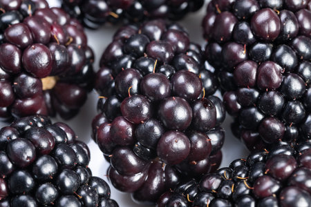 Shiny dark berries under studio light, Blackberries with reflective gloss in minimalist setting,...