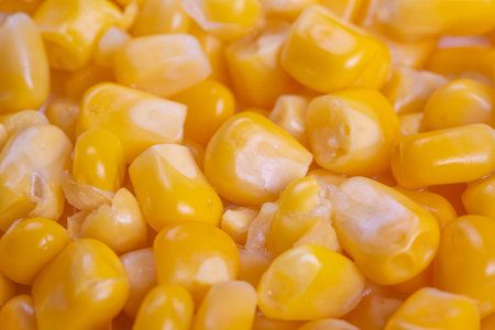 Tender corn grains recently thawed suitable for various culinary preparations, Freshly defrosted...