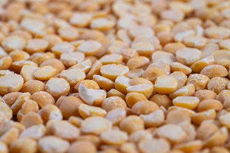Macro abstract yellow pea texture, decorative backdrop with shallow depth of field for creative projects, pattern study useful for packaging, web and editorial design useの写真素材