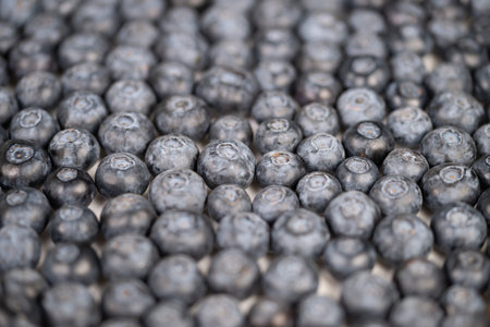 Detailed macro view of blueberries, frosted bloom and subtle color variations, crisp focus on skin...