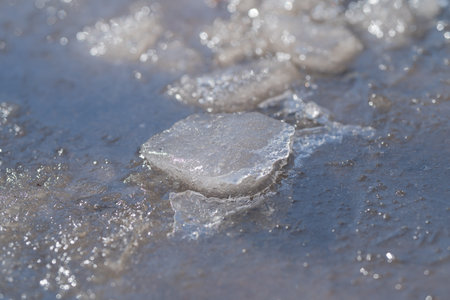 Solitary ice fragment gliding through springtime sludge. Single ice fragment drifting silently...