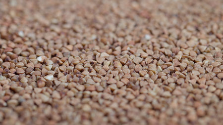 Buckwheat closeup view, Detailed buckwheat grain photograph, Zoomedin shot of buckwheat kernels...
