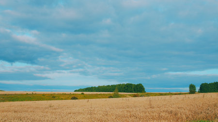 A Beautiful and Serene Landscape of Golden Fields Delightfully Set Under a Cloudy Sky