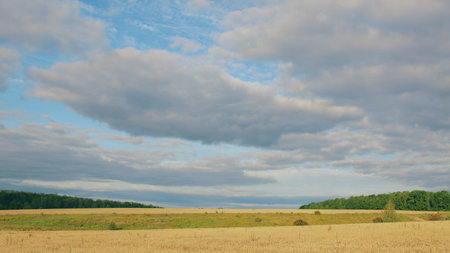 A Serene and Tranquil Landscape Depicting Beautiful Fields with Fluffy Clouds Aboveの写真素材