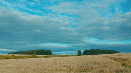 A Serene and Picturesque Landscape with a Beautiful Cloudy Sky Over Expansive Fields