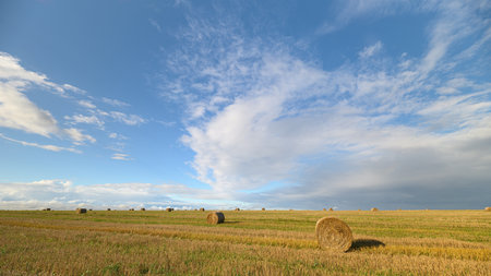 A breathtaking view of vast fields under a clear blue sky with fluffy white clouds