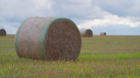 Bales of Hay Resting in a Wide Open Field Underneath a Dramatic and Beautiful Sky Above