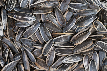 Detailed image showcasing nutritious salted sunflower seed crunch. Highresolution photograph emphasizing health benefits and flavorful texture of salted sunflower seedsの写真素材