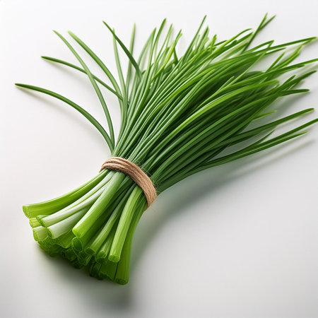 Bunch of fresh chives tied with rope on white background.の素材