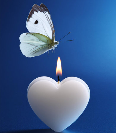 Butterfly on a white candle with heart on blue background.の素材