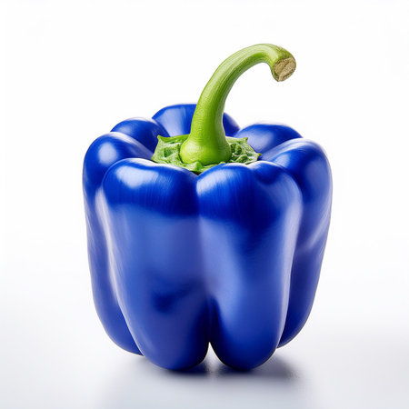 Blue bell pepper isolated on white background. Clipping path included.の素材