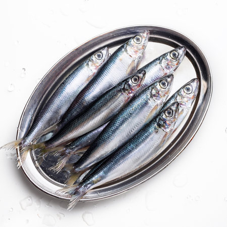 Fresh sardines in a metal plate on a white background.の素材