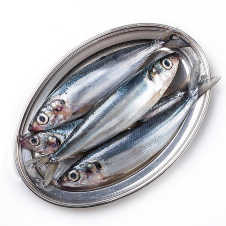 Fresh sardines in a tin can on a white background.の素材