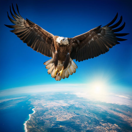 Bald Eagle flying in the blue sky with sun and clouds.の素材