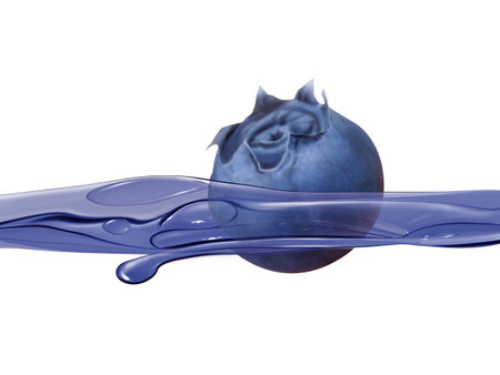 Blueberry in water splash isolated on white background. 3d renderの素材