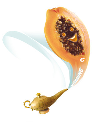 Papaya fruit on a white background.の写真素材