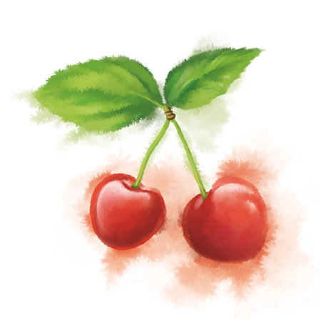 Watercolor cherry on a white background. Vector watercolor illustration.の写真素材