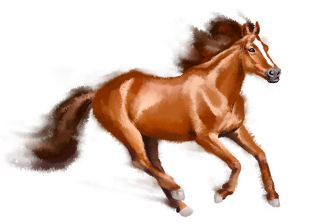 Illustration of a brown horse running on a white background - digitally renderedの写真素材