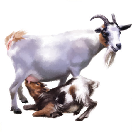Goat and goatling on a white background. Watercolor illustrationの写真素材
