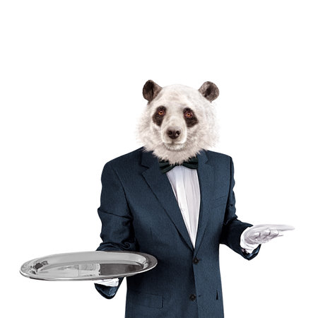 Waiter with panda bear head isolated on white backgroundの写真素材