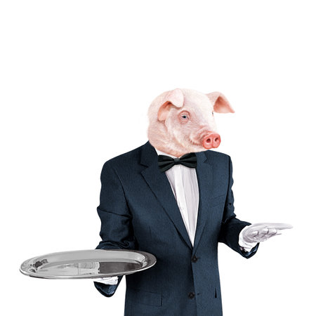 Funny pig in a suit holding a tray isolated on white backgroundの写真素材