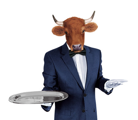 Cow in a suit and bow tie holding a tray isolated on white backgroundの写真素材
