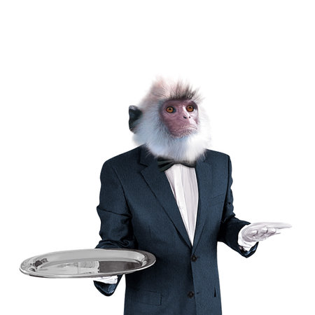Monkey in a suit with a tray on a white background.