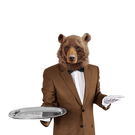Bear waiter with a tray on a white background. Isolated.の写真素材