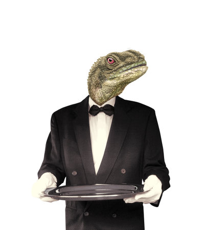 Lizard in a tuxedo with a plate on a white backgroundの写真素材