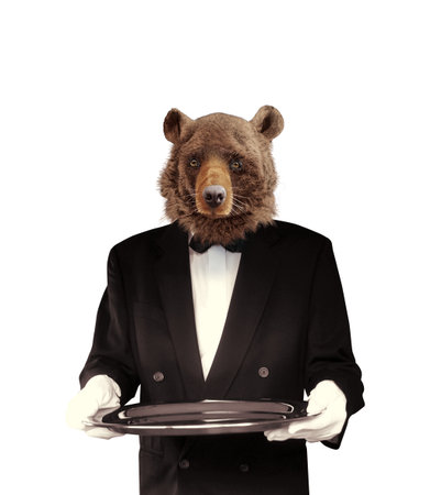 Bear waiter in a suit with a tray isolated on a white backgroundの写真素材