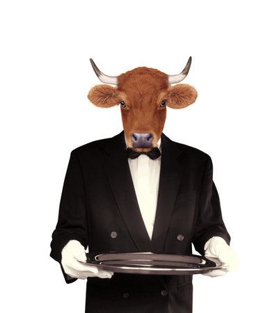 Cow waiter with a tray isolated on a white background. 3d rendering.の写真素材