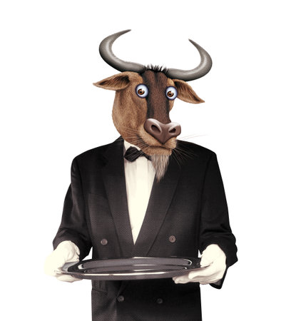 3D digital render of a bull waiter with a tray isolated on white backgroundの写真素材