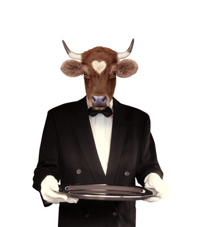 Cow waiter with a tray on a white background. Isolated.の写真素材