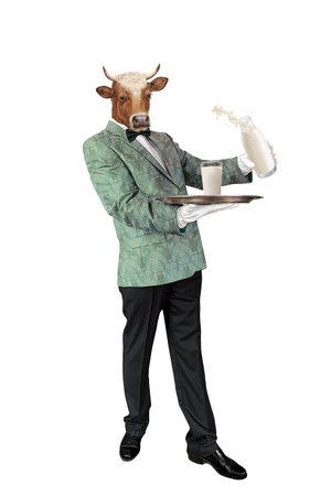 Cow waiter with a tray of milk, isolated on white background.の写真素材