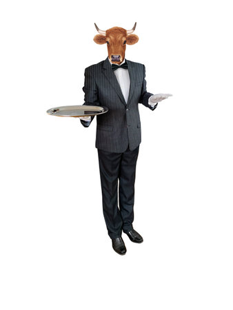 Cow waiter with a tray isolated on a white background. Conceptual image.の写真素材