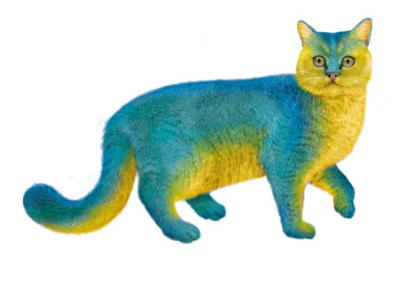 Cat made of felt isolated on a white background. Handmade.の写真素材