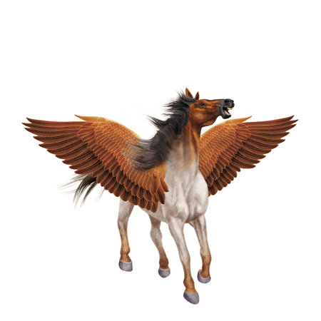 3D digital render of a fantasy horse with wings isolated on white backgroundの写真素材