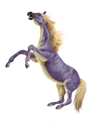 3D digital render of a running purple horse isolated on white backgroundの写真素材