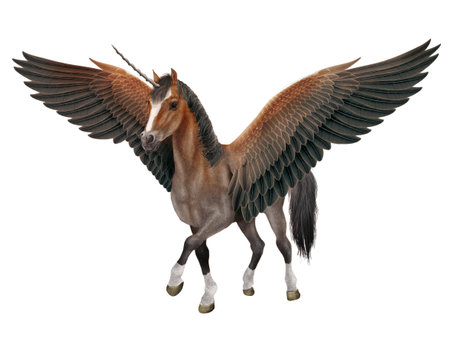 3D digital render of a fantasy horse with wings isolated on white backgroundの写真素材