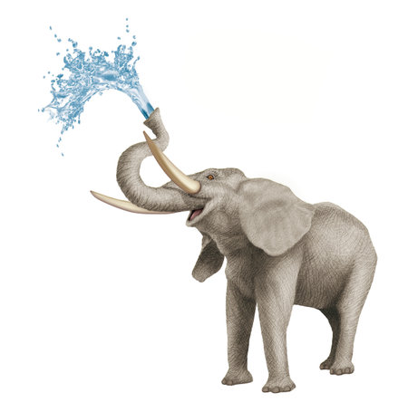 Elephant with water splash isolated on white background. 3D illustrationの写真素材