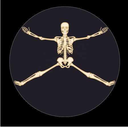 Skeleton on a black background. 3D illustration. Vector.の写真素材
