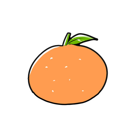 Orange fruit icon. Hand drawn illustration of orange fruit vector icon for web designの写真素材